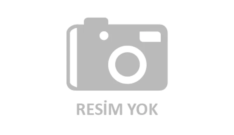 Filo Araç Taşımacılığı